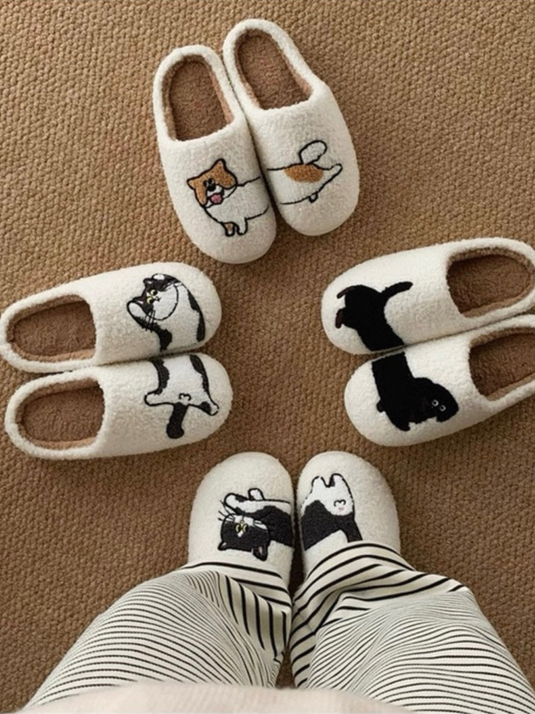 meow and woof slippers