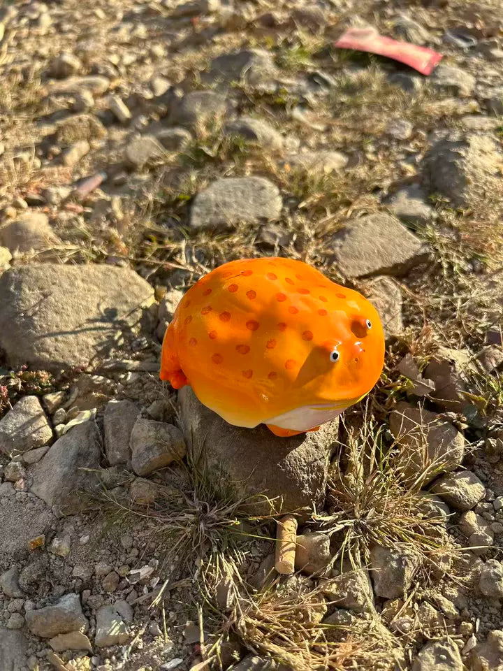 cute frog airpods case