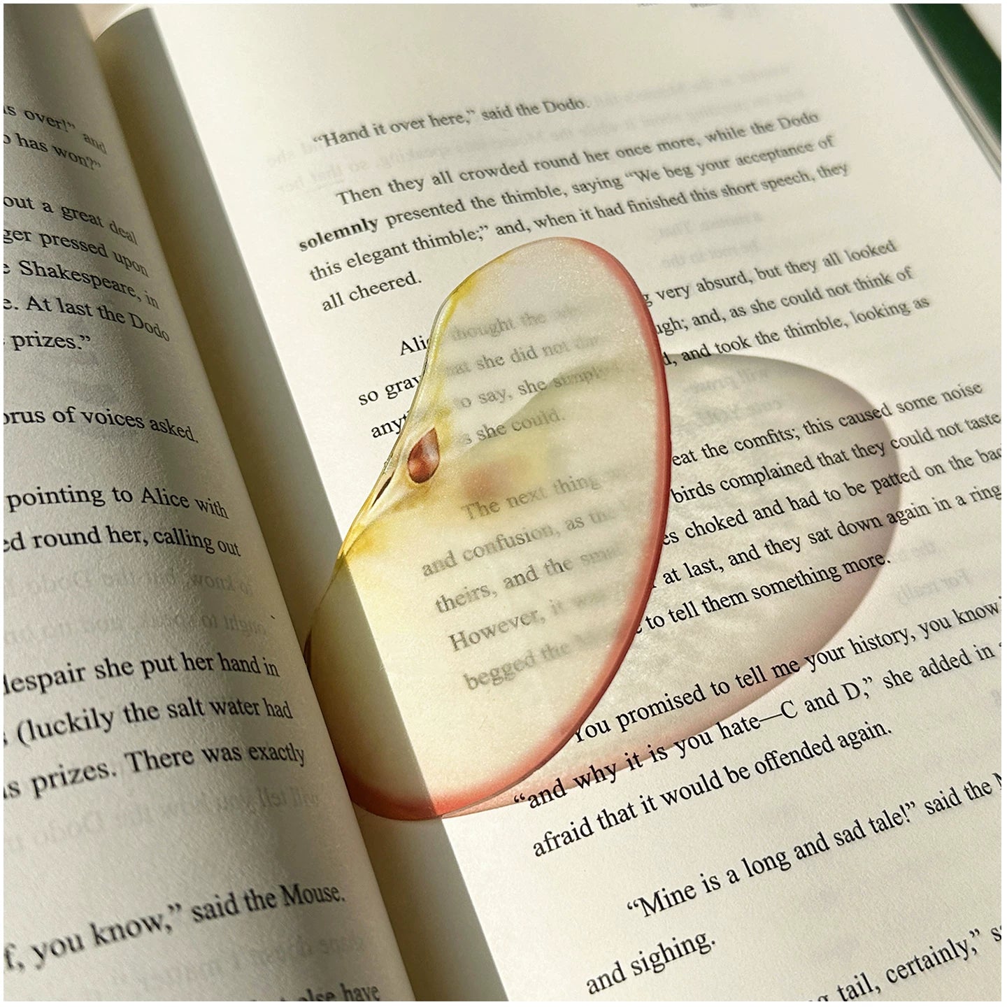 fruit acrylic bookmarks