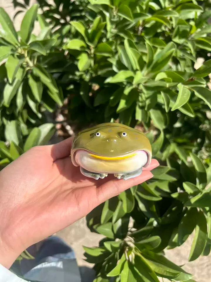 cute frog airpods case