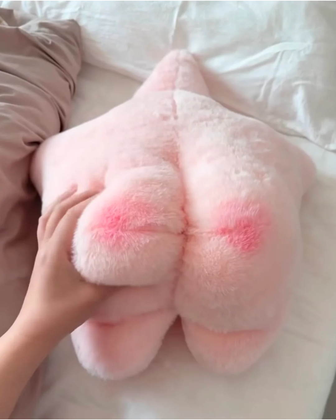 starfish butt pillow