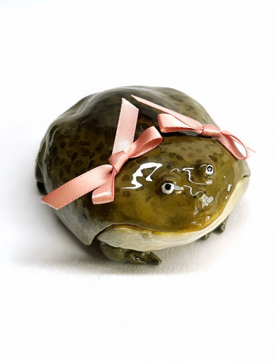 cute frog airpods case