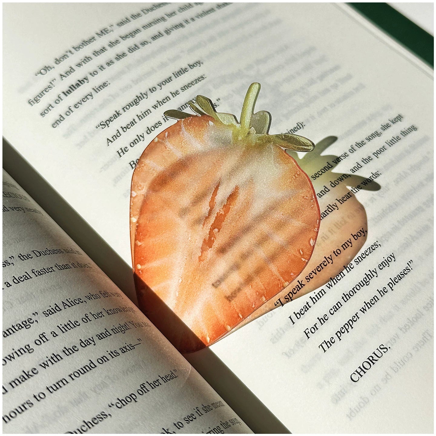 fruit acrylic bookmarks