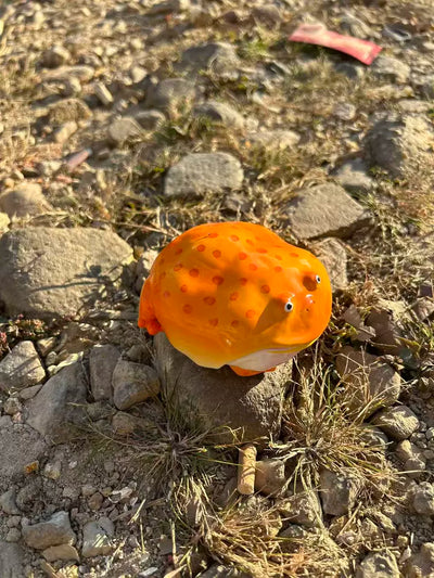 cute frog airpods case