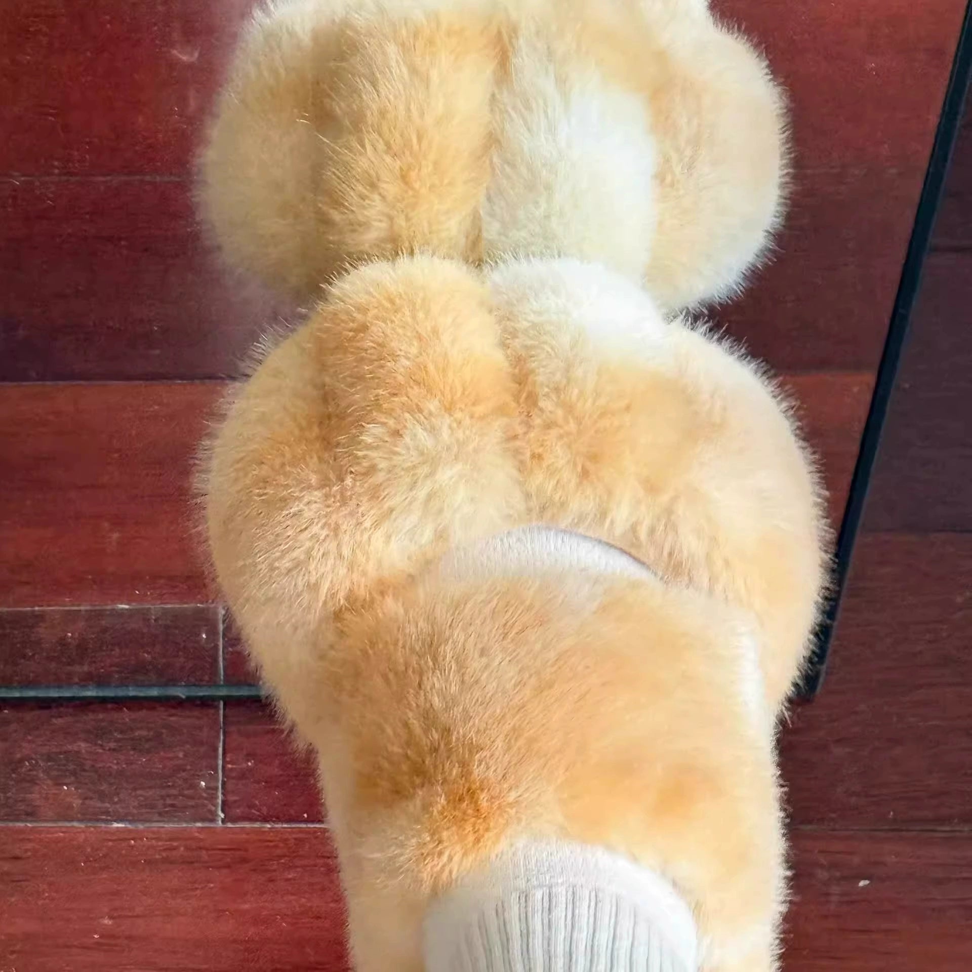 cat paw slippers