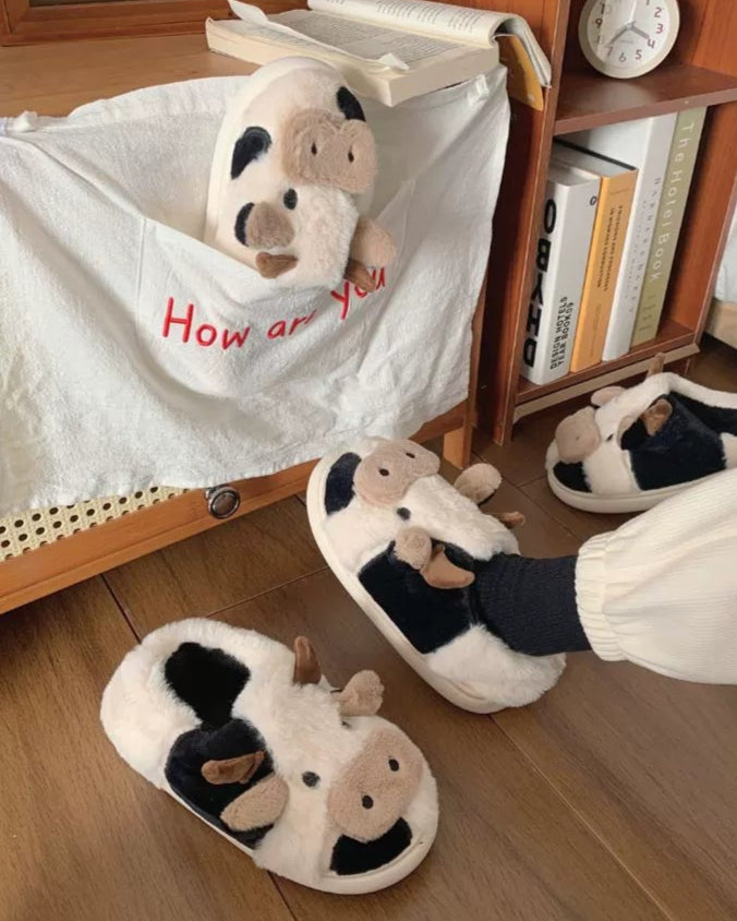 cow slippers