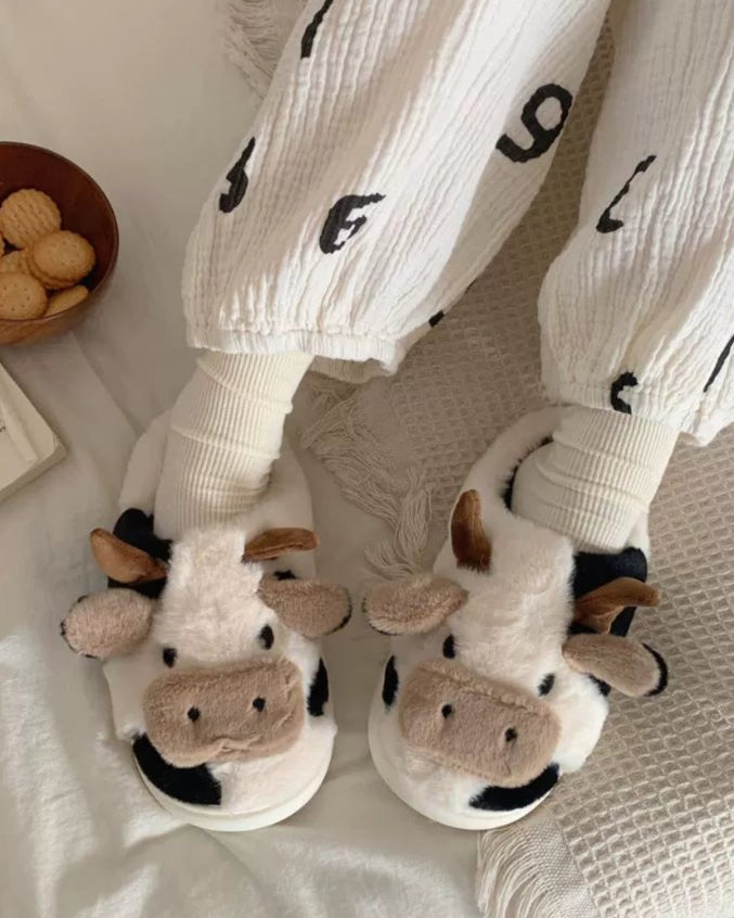 cow slippers