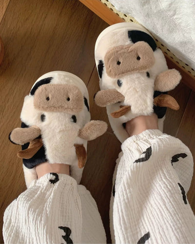 cow slippers