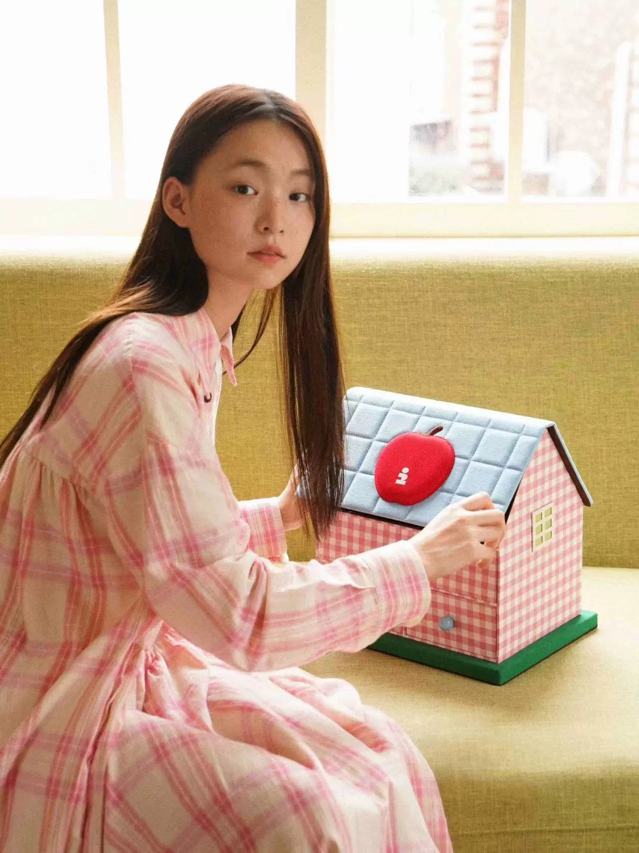 apple house storage box