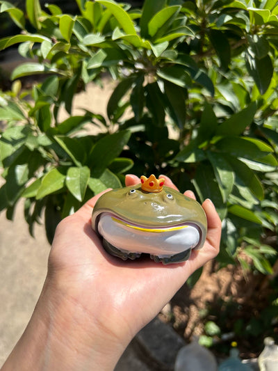 cute frog airpods case