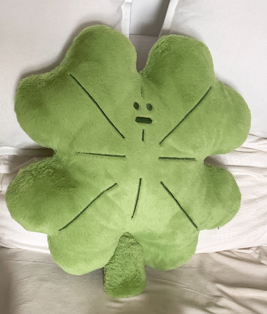 lucky charm cushion