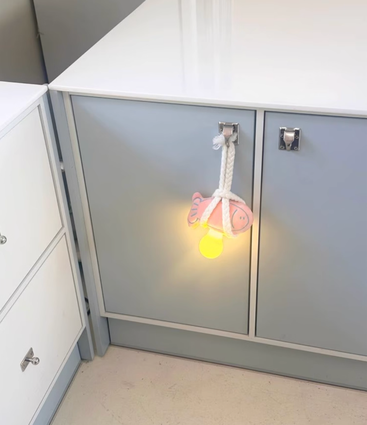 little fish lamp