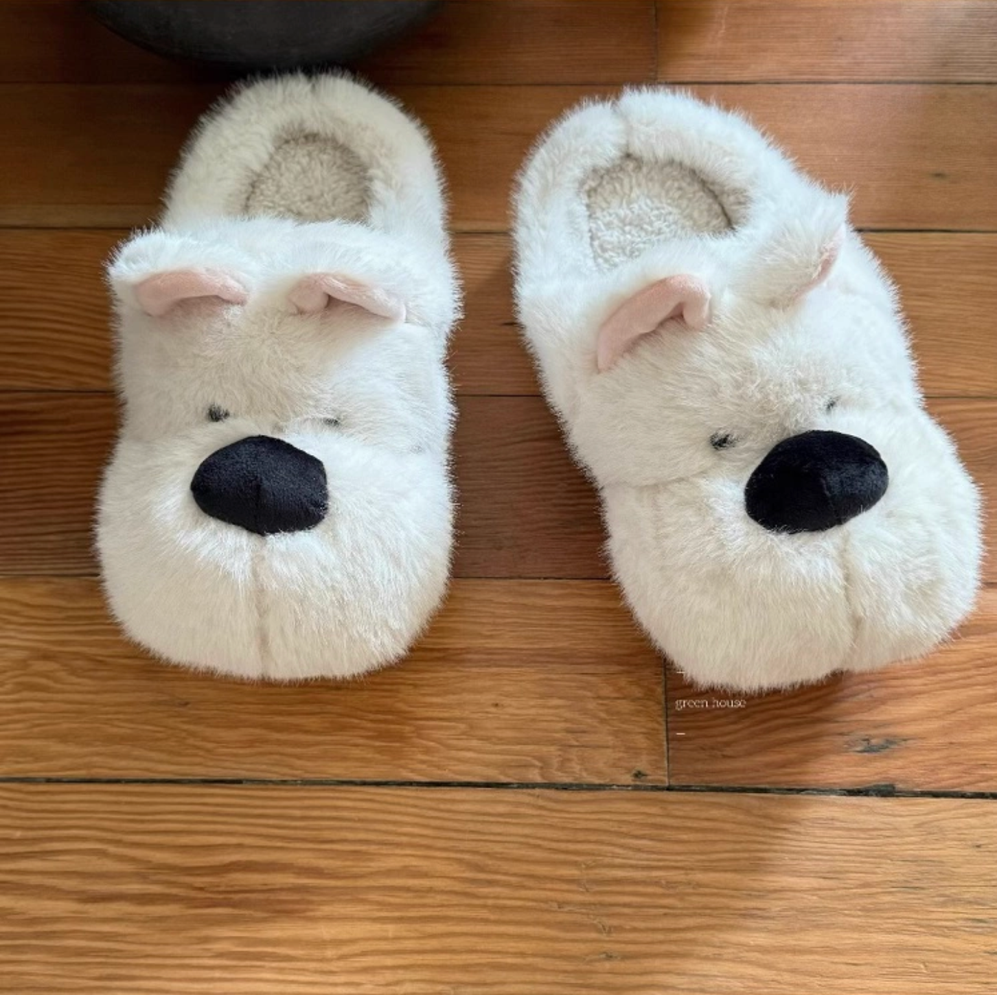 dog snout slippers