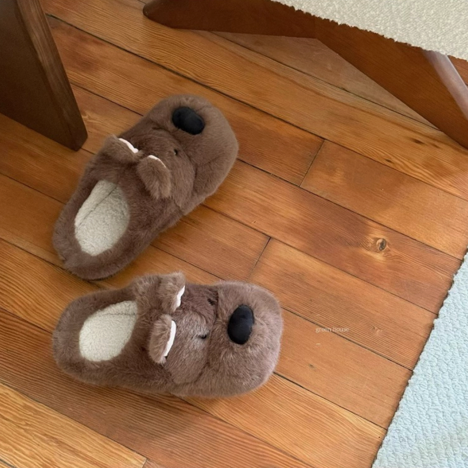 dog snout slippers